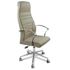 Toprak Bej Deri Yönetici Koltuğu