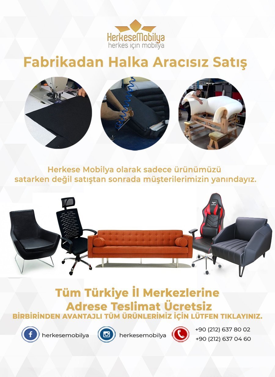 Misafir Bekleme Salonu Koltuk Ofis Berjer Büro Berjer Sandalye