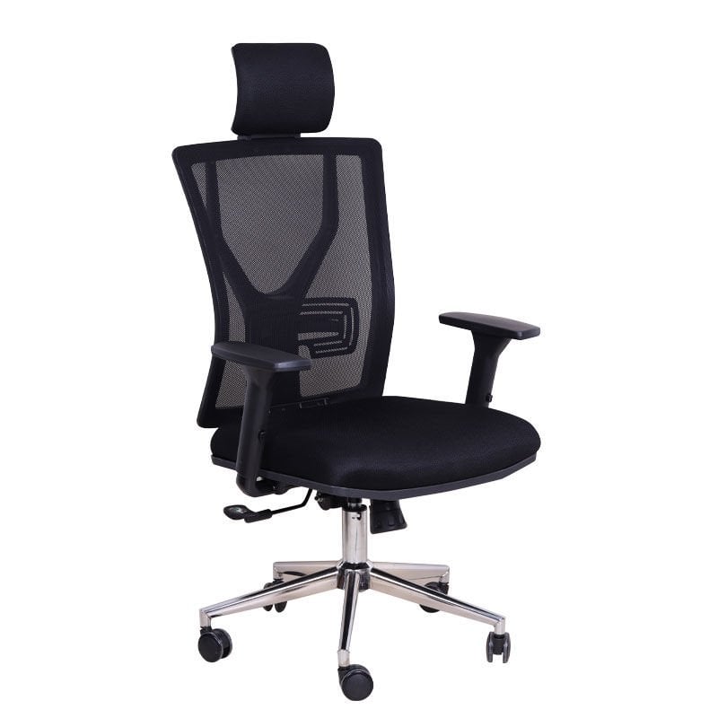 D-54 Siyah Fileli Yönetici Koltuğu