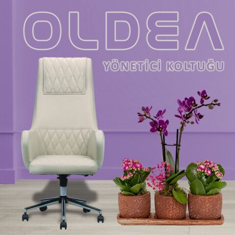Oldea Bej Deri Yönetici Koltuğu