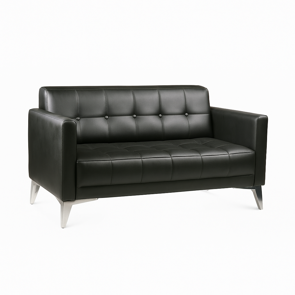 Trend Siyah Deri İkili Kanepe