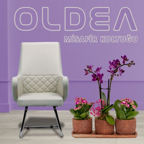Oldea Deri Misafir Koltuğu
