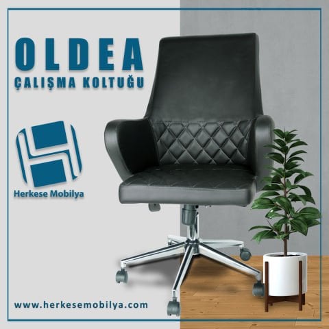 Oldea Siyah Deri Çalışma Koltuğu