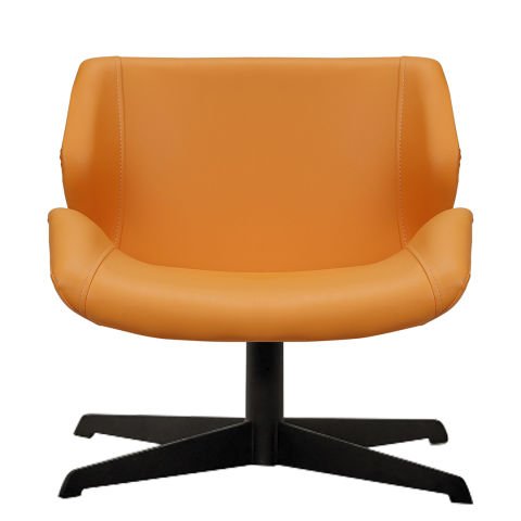 Rio R Deri Misafir Koltuğu Berjer