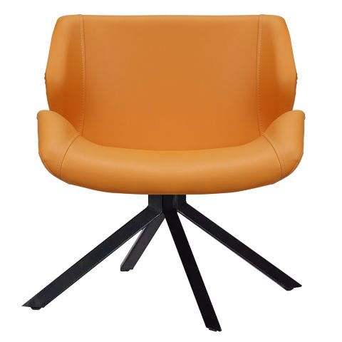 Rio V Deri Misafir Koltuğu Berjer