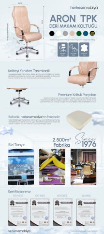 ARON TPK Makam Koltuğu | Çalışma Koltuğu | Müdür Koltuğu