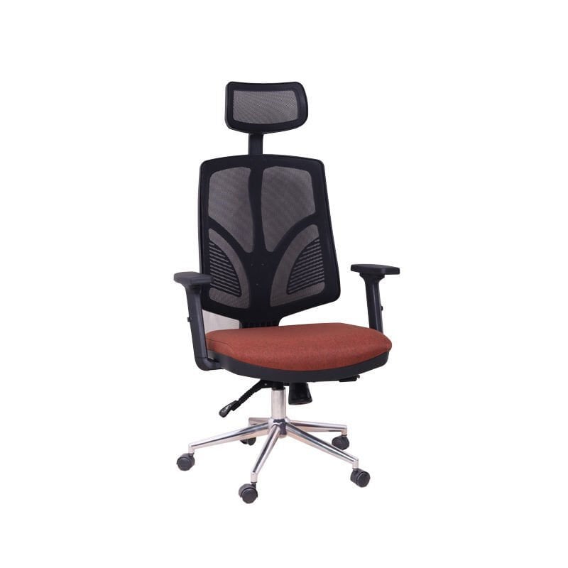 Theori Yönetici Koltuğu