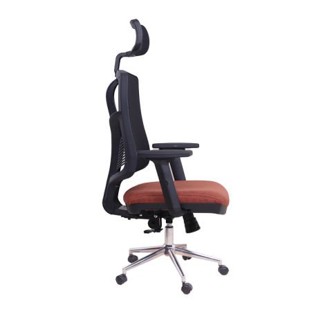 Theori Yönetici Koltuğu