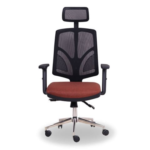 Theori Yönetici Koltuğu